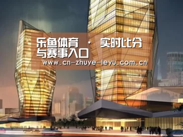 案例展示三