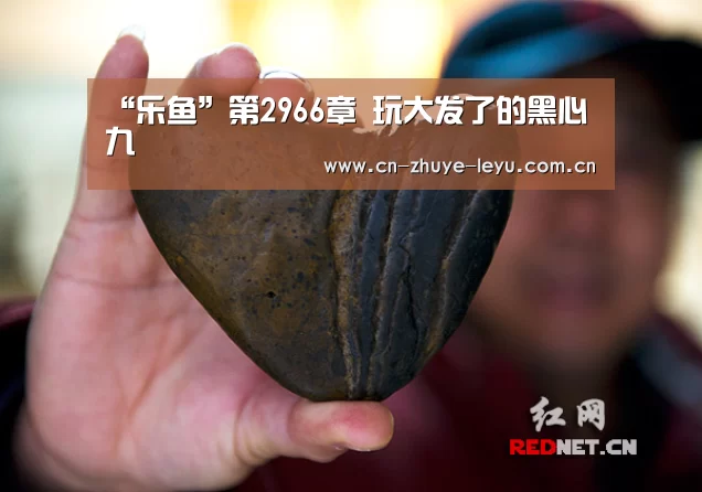 “乐鱼”第2966章 玩大发了的黑心九(图1) 乐鱼
