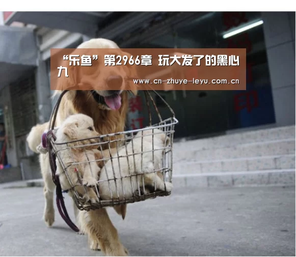 “乐鱼”第2966章 玩大发了的黑心九(图2) 乐鱼