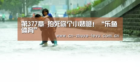 第377章 拍死你个小婊砸!“乐鱼体育”(图1) 第377章 拍死你个小婊砸!“乐鱼体育”(图1)
