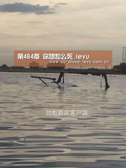 第484章 你想怎么死_leyu(图1) 第484章 你想怎么死_leyu(图1)