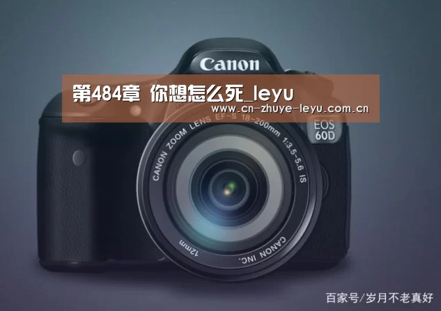 第484章 你想怎么死_leyu(图2) 乐鱼