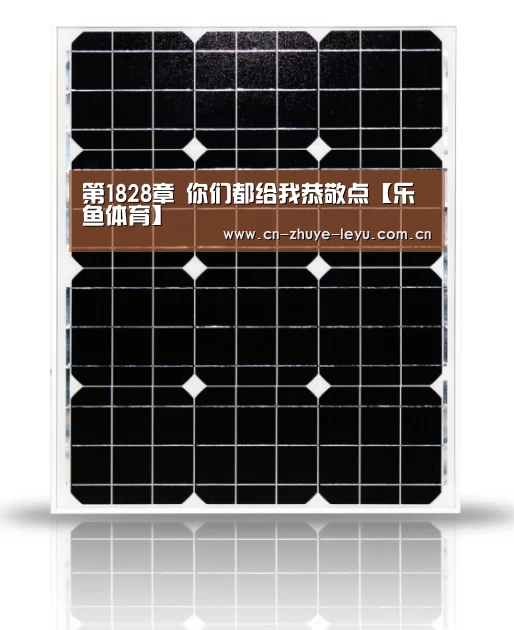 乐鱼体育app官网